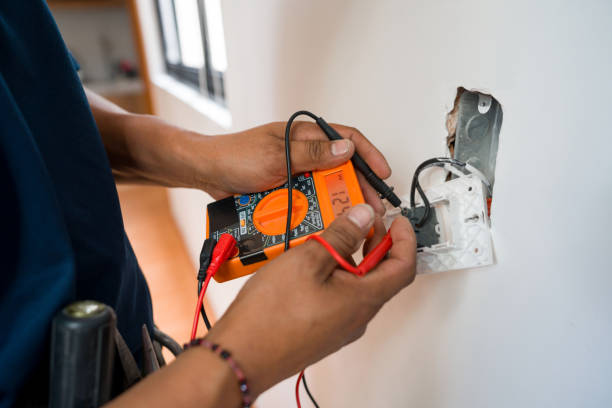 Best Electric Panel Repair  in Lone Tree, IA