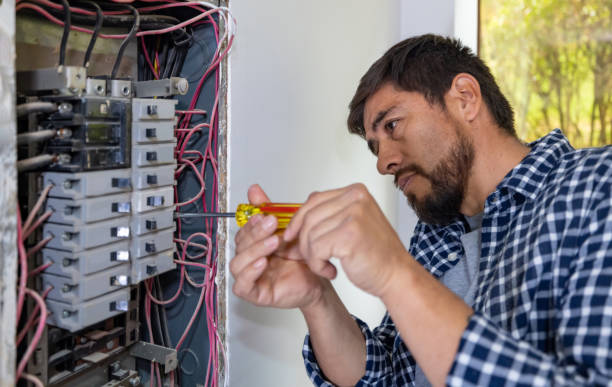 Best Local Electrician Companies  in Lone Tree, IA